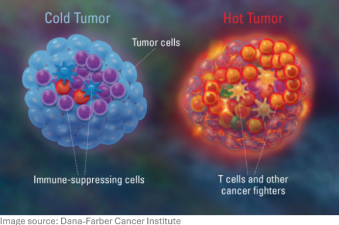 SPARC consortium, including dr. Martijn Verdoes, awarded funding for NWO Perspectief Project 