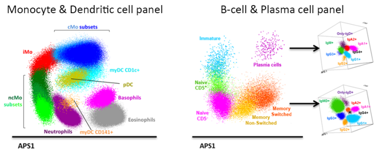 Figure 1. Multidimensional flow cytometric analysis of the monocyte-dendritic cell compartment (left) and the blood B-cell/plasma cell compartment (right).